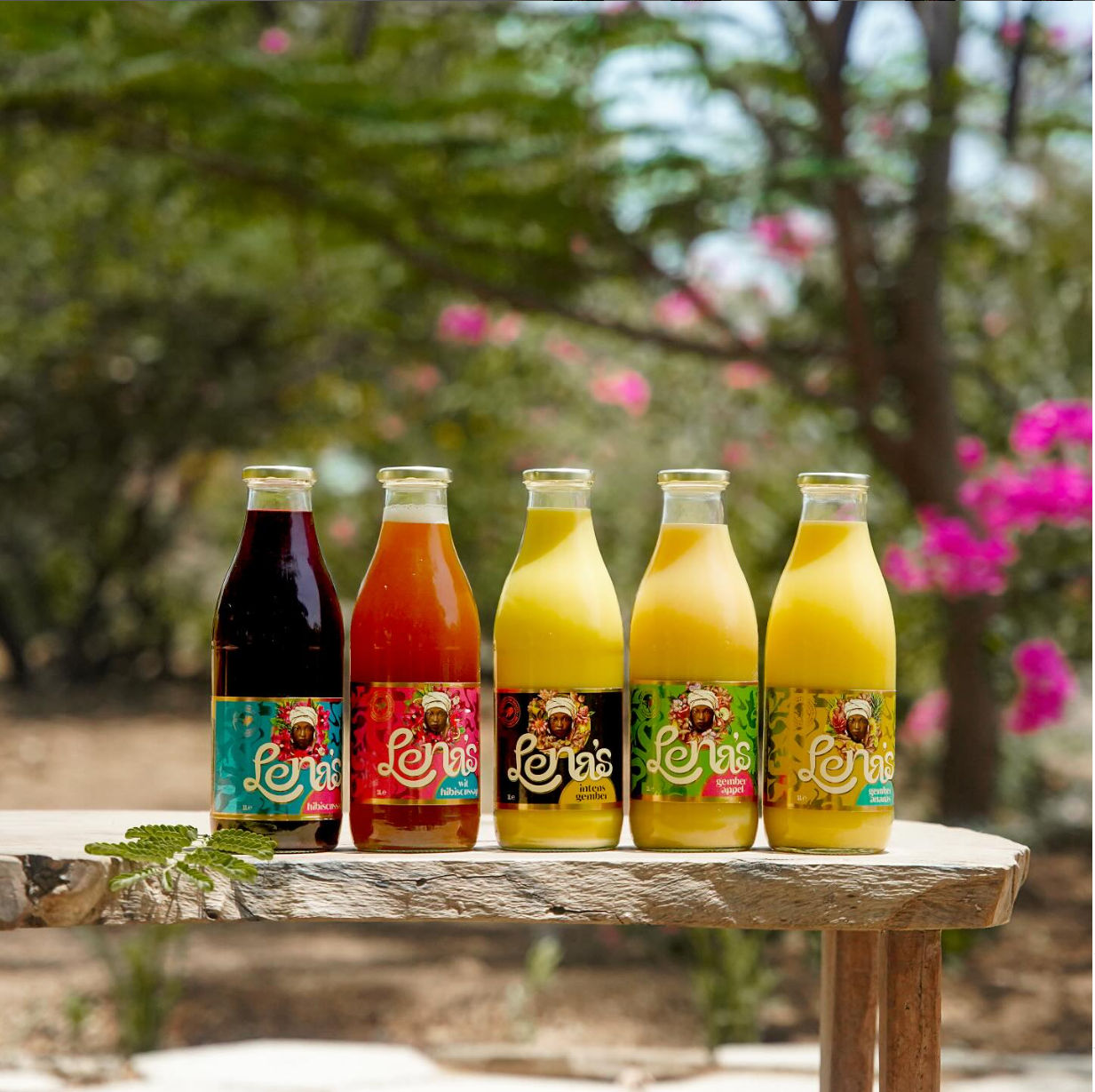 LENA’S — Mix Découverte 1L — 5 Saveurs